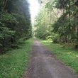отдых за городом